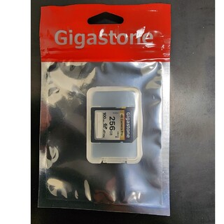 Gigastone SDcard 256GB(その他)