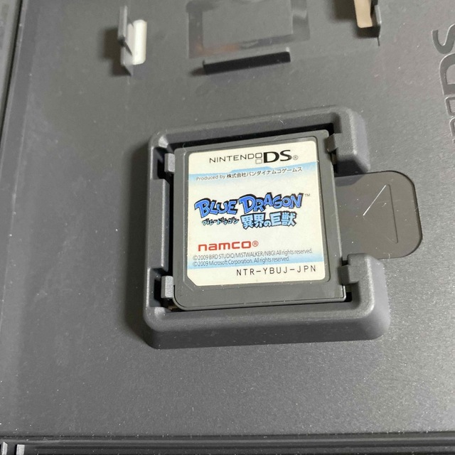 ニンテンドーDS(ニンテンドーDS)のブルードラゴン 異界の巨獣 DS エンタメ/ホビーのゲームソフト/ゲーム機本体(携帯用ゲームソフト)の商品写真