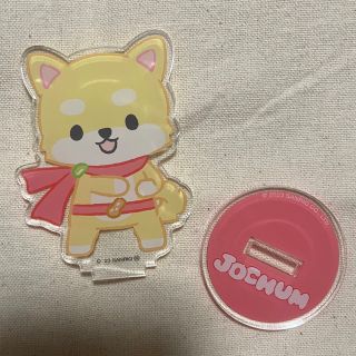 ジェイオーワン(JO1)のアクスタ　まめちぃ(キャラクターグッズ)