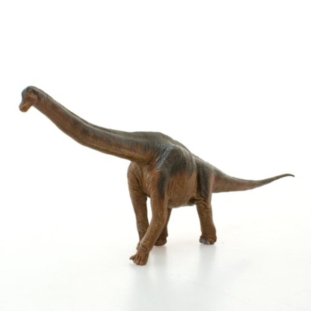 ブラキオサウルス ソフトモデル(FDW-008) i8my1cf