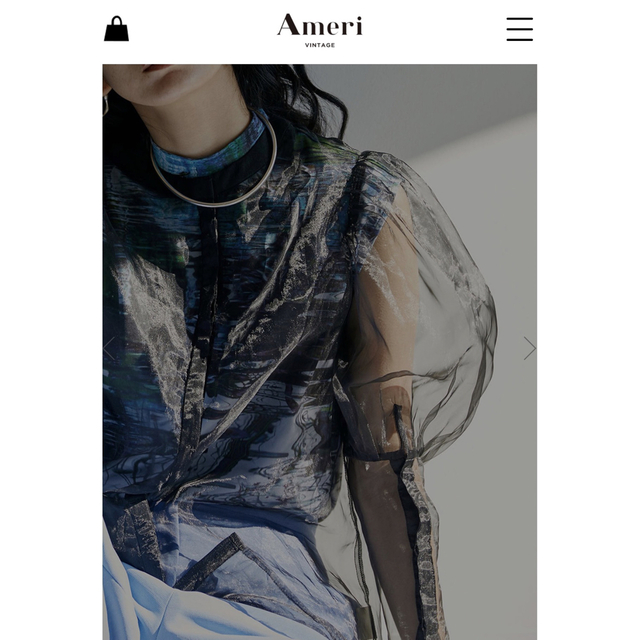 Ameri MEDI PRINT LAYERED SHEER SET TOP 3