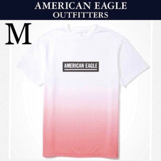 アメリカンイーグル(American Eagle)の新品タグ付き☆アメリカンイーグル半袖TシャツMホリスターアバクロンビー&フィッチ(Tシャツ/カットソー(半袖/袖なし))