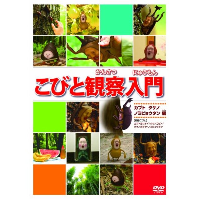 こびと観察入門 カブト タケノ ノミビョウタン編 [DVD] i8my1cf