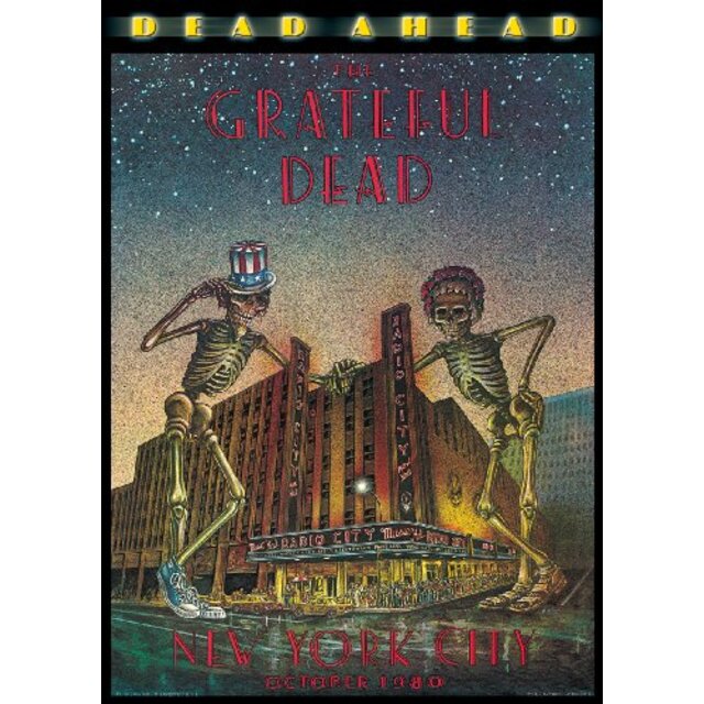 Dead Ahead [DVD]