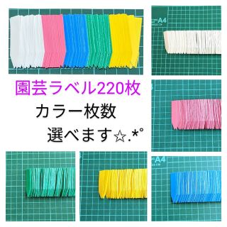 園芸ラベル220枚 カラー＆枚数選べます(その他)