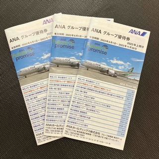 【即購入OK】ANAグループ優待券 最新版　3セット(その他)