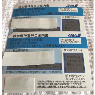 エーエヌエー(ゼンニッポンクウユ)(ANA(全日本空輸))のANA株主優待券2枚　2023年6月1日〜2024年5月31日　匿名配送(その他)