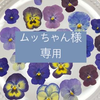 エディブルフラワーの押し花(ドライフラワー)