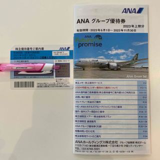 エーエヌエー(ゼンニッポンクウユ)(ANA(全日本空輸))のANA株主優待券一枚　グループ優待券一冊(その他)