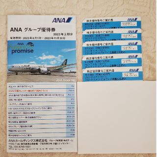 エーエヌエー(ゼンニッポンクウユ)(ANA(全日本空輸))のANA株主優待券　5枚(その他)