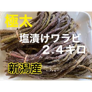 【極太】新潟産 ★ 塩漬けワラビ ２.４キロ ★ 天然 塩蔵蕨(野菜)