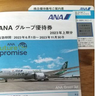 エーエヌエー(ゼンニッポンクウユ)(ANA(全日本空輸))のANA　株主優待(航空券)