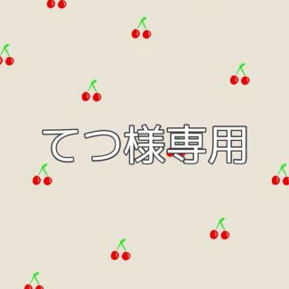 てつ様専用(文学/小説)