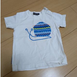 Ｔシャツ　かたつむり(Ｔシャツ)