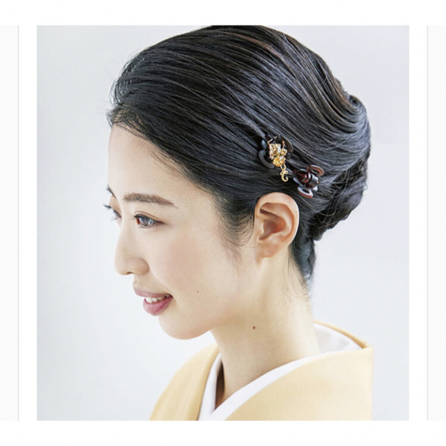 Complex Biz(コンプレックスビズ)のコンプレックスビズ　クリップ2個セット　ブラウン レディースのヘアアクセサリー(バレッタ/ヘアクリップ)の商品写真