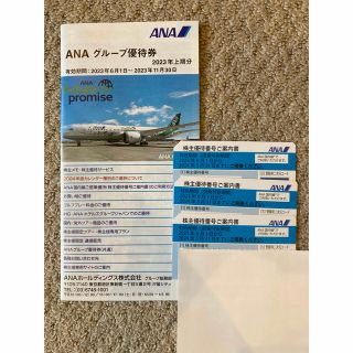 エーエヌエー(ゼンニッポンクウユ)(ANA(全日本空輸))の【最新】ANA株主優待券3枚+ ANAグループ優待券1冊(その他)