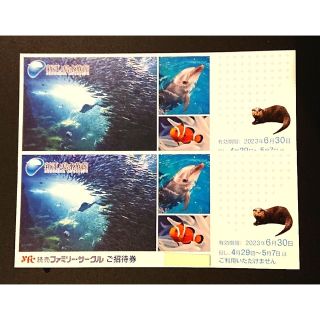 ★新江ノ島水族館 ご招待券2枚  2023年 6月30日(金)まで★b(水族館)