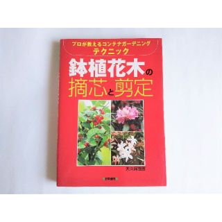 鉢植花木の摘芯と剪定(住まい/暮らし/子育て)