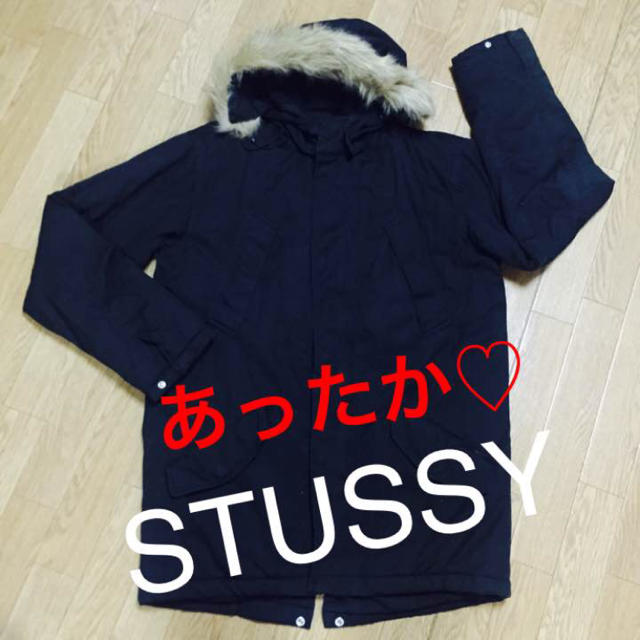 STUSSYのロングダウン