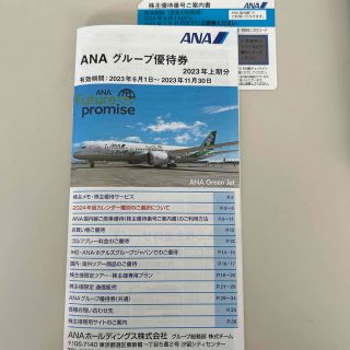 エーエヌエー(ゼンニッポンクウユ)(ANA(全日本空輸))のANA　株主優待券(その他)