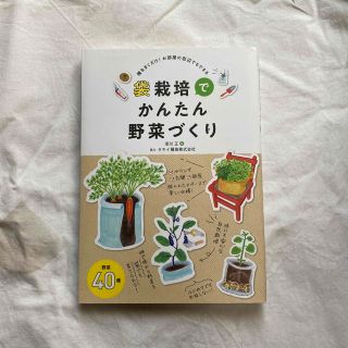 袋栽培でかんたん野菜づくり 種をまくだけ！お部屋の窓辺でもできる(趣味/スポーツ/実用)