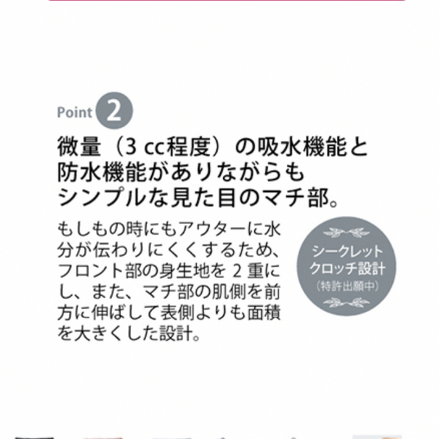 シャルレ(シャルレ)のシャルレ　お尻すっぽりデイリーショーツプラス　3 L レディースのレディース その他(その他)の商品写真