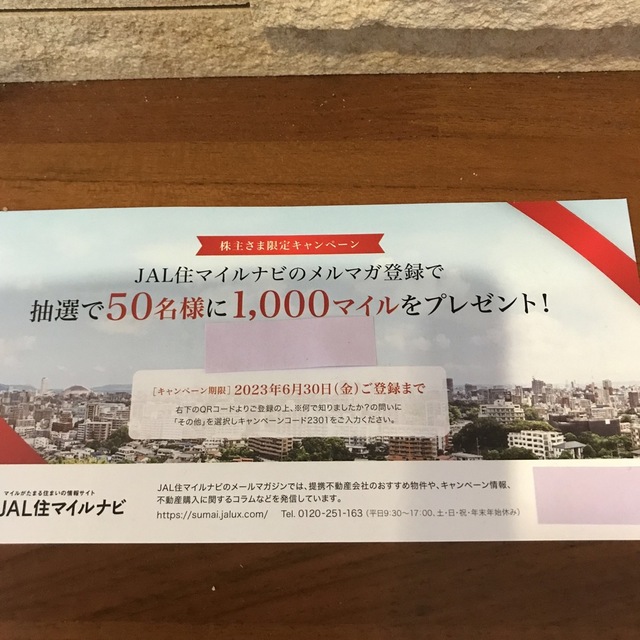 JAL 日本航空　株主割引券1枚＋優待冊子＋クーポン チケットの優待券/割引券(その他)の商品写真