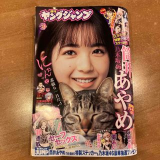 ヤングジャンプ24号　乃木坂46 筒井あやめ　特製グラビアステッカー(漫画雑誌)