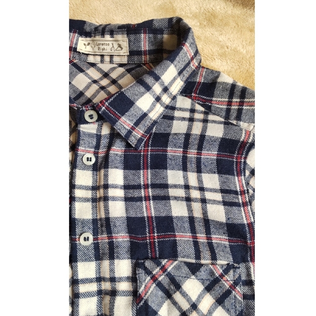 ネルシャツ　Lorenzo Righi　フランネルシャツ Ｌ チェック レディースのトップス(シャツ/ブラウス(長袖/七分))の商品写真