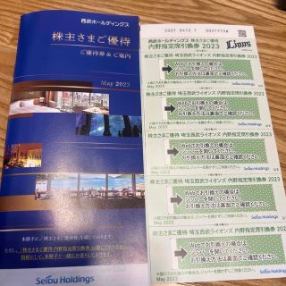 西武ホールディングス　株主優待券(その他)