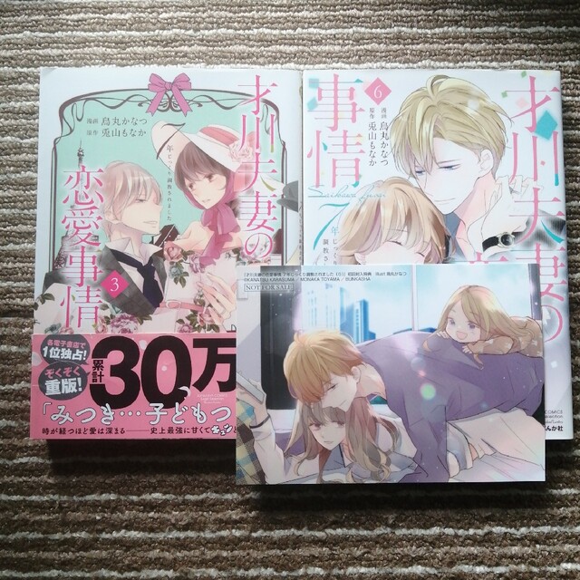 才川夫妻の恋愛事情 7年じっくり調教されました エンタメ/ホビーの漫画(女性漫画)の商品写真