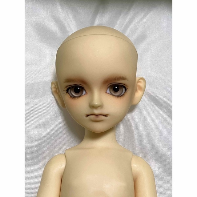 室外 ボークス スーパードルフィー 幼SD 南条勲*サイボーグ009 ドルパ