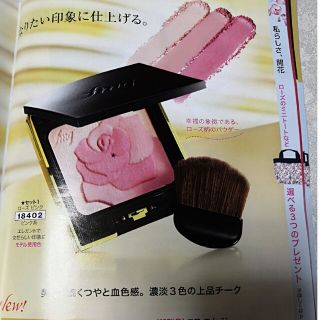 FMG 薔薇のチーク(その他)