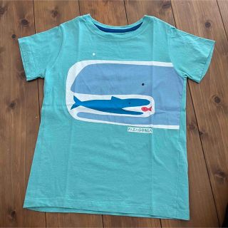 パタゴニア(patagonia)のPatagonia Baby★半袖　Tシャツ★5T（110くらい）★くじら(Tシャツ/カットソー)