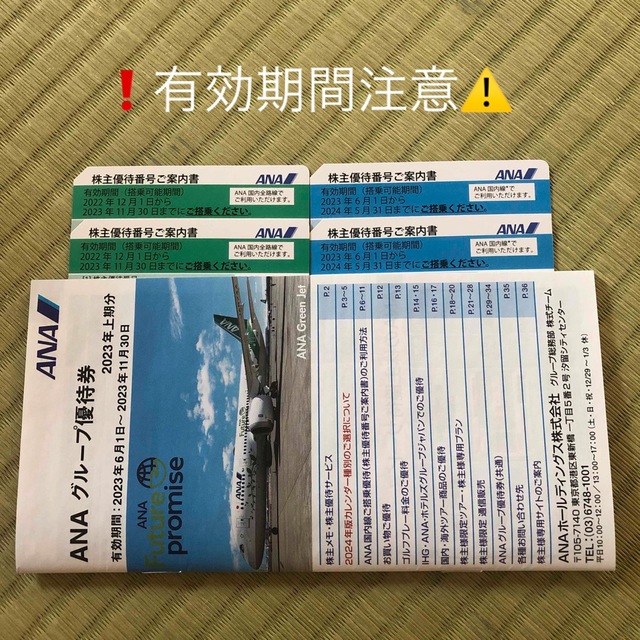 ANAグループ優待券1冊+株主優待番号ご案内4枚 | www.ecotours-of ...