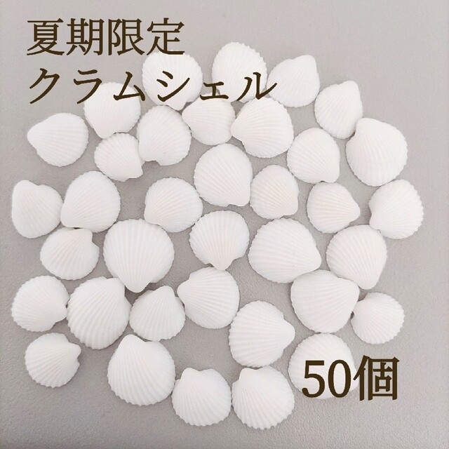 新商品　ミニ　白　クラム  シェル　50個　ハンドメイド　素材　東京堂 ハンドメイドの素材/材料(各種パーツ)の商品写真