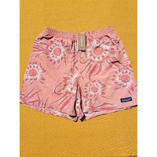 パタゴニア(patagonia)のパタゴニア Baggies Shorts L バギーズ CEUP 2018(ショートパンツ)