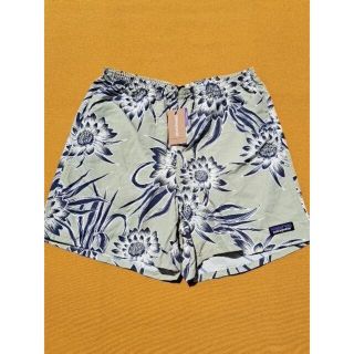 パタゴニア(patagonia)のパタゴニア Baggies Shorts L バギーズ CEFD 2018(ショートパンツ)