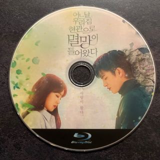 韓国ドラマ　ある日、私の家の玄関に滅亡が入ってきた　Blu-ray(韓国/アジア映画)