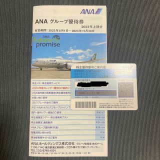 エーエヌエー(ゼンニッポンクウユ)(ANA(全日本空輸))のANA　株主優待券　(航空券)