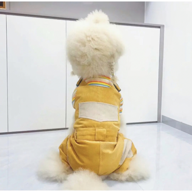 【ペット用】大型犬用ペット服コーデュロイのオーバーオール　黄XLサイズ