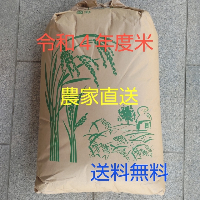 【別倉庫からの配送】 新米 新潟県産 新之助 包材込み30kg 精米無料 匿名配送