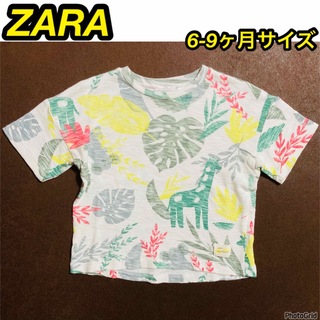 ザラ(ZARA)の6-9ヶ月サイズ  ZARA Tシャツ 半袖 アニマルTシャツ(Ｔシャツ)