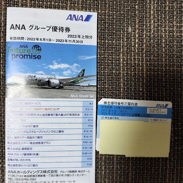 ANA(全日本空輸)(エーエヌエー(ゼンニッポンクウユ))のANA　株主優待券 その他のその他(その他)の商品写真