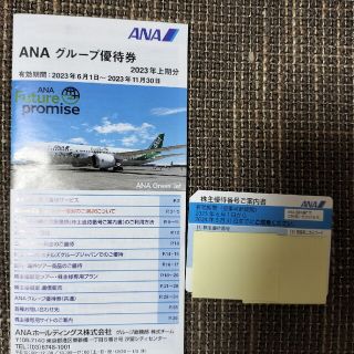 エーエヌエー(ゼンニッポンクウユ)(ANA(全日本空輸))のANA　株主優待券(その他)