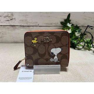 ☘️新品未使用❣️COACH コーチ 折り財布 ウッドストック みずほショップ 人気