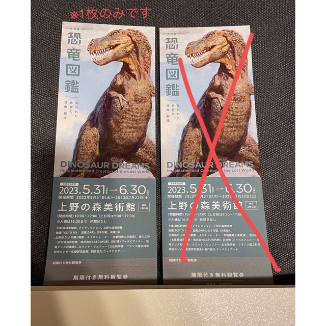 恐竜図鑑 東京展 期限付き無料観覧券 6/30まで 2枚\r\n上野の森美術館