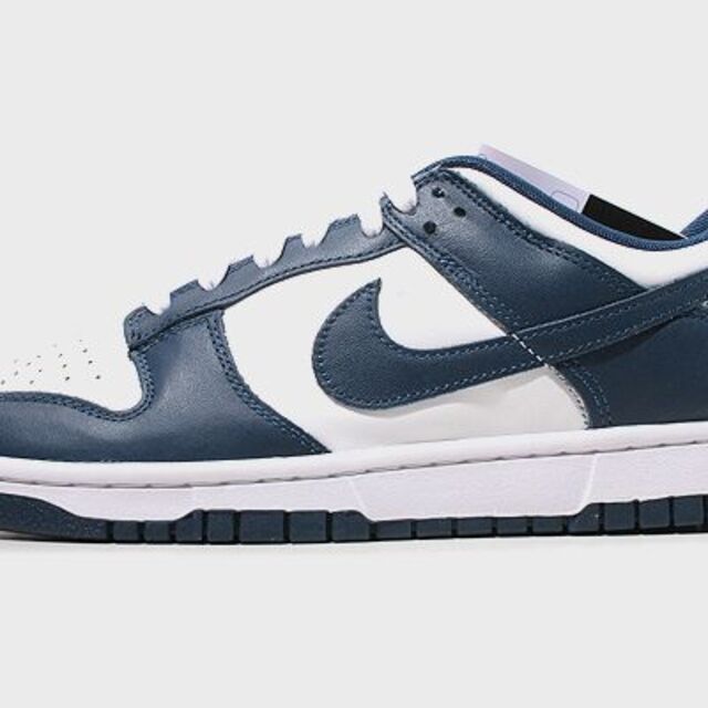 NIKE(ナイキ)のNike Dunk Low "Valerian Blue" 25.5cm メンズの靴/シューズ(スニーカー)の商品写真