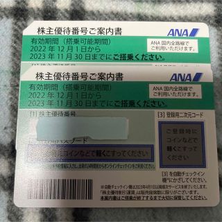 ANA 全日空 株主優待券 2枚 ☆送料無料☆ おまけ付き(その他)