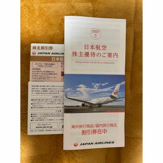 JAL 株主優待　割引券2枚　割引券冊子(航空券)